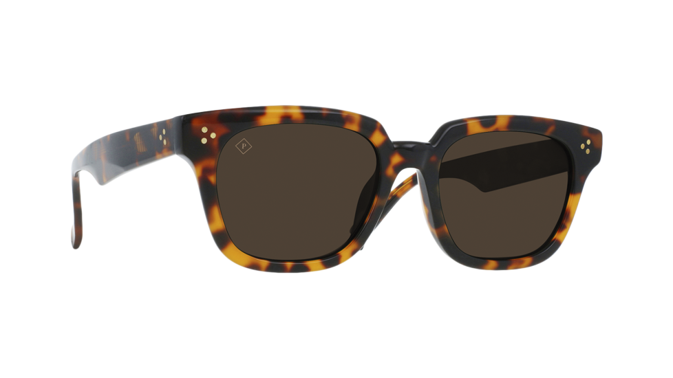 Raen Phonos sunglasses (quarter view)