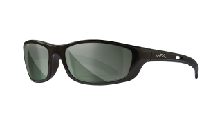 Wiley X P-17 sunglasses