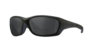Wiley X Gravity safety glasses for motorcycle biker riding